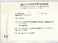 登錄號:F0017720藏品圖，第2張