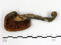 登錄號:F0017720藏品圖，第3張