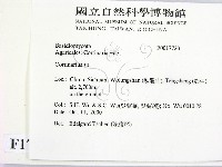 登錄號:F0017723藏品圖，第2張