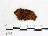 登錄號:F0017723藏品圖，第3張