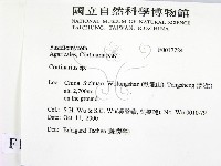 登錄號:F0017724藏品圖，第2張