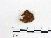 登錄號:F0017724藏品圖，第1張