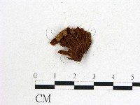 登錄號:F0017724藏品圖，第3張