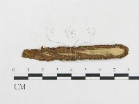 登錄號:F0017725藏品圖，第3張