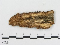 登錄號:F0017726藏品圖，第3張