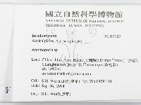 登錄號:F0017727藏品圖，第2張