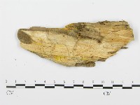 登錄號:F0017727藏品圖，第3張