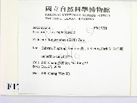 登錄號:F0017731藏品圖，第2張