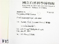 登錄號:F0017733藏品圖，第2張