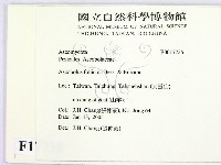 登錄號:F0017735藏品圖，第2張