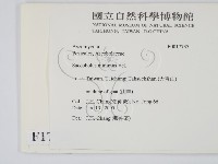 登錄號:F0017737藏品圖，第2張