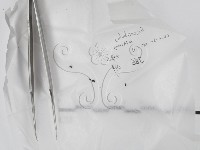 登錄號:F0017737藏品圖，第1張