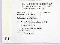 登錄號:F0017738藏品圖，第2張