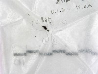 登錄號:F0017739藏品圖，第1張