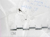 登錄號:F0017741藏品圖，第1張