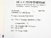 登錄號:F0017745藏品圖，第2張