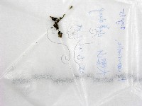 登錄號:F0017745藏品圖，第1張