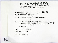 登錄號:F0017747藏品圖，第2張