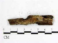 登錄號:F0017747藏品圖，第1張