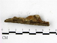 登錄號:F0017747藏品圖，第3張