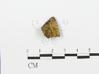 登錄號:F0017748藏品圖，第1張