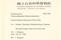 登錄號:F0017749藏品圖，第2張