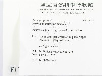 登錄號:F0017750藏品圖，第2張