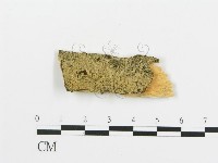 登錄號:F0017750藏品圖，第1張