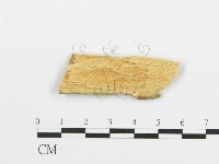 登錄號:F0017750藏品圖，第3張
