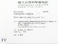 登錄號:F0017751藏品圖，第2張