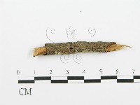 登錄號:F0017751藏品圖，第1張