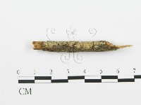登錄號:F0017751藏品圖，第3張