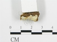 登錄號:F0017753藏品圖，第4張