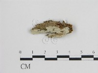 登錄號:F0017754藏品圖，第1張