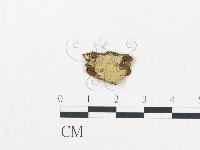 登錄號:F0017755藏品圖，第1張