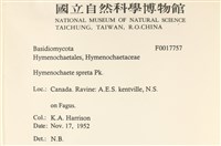 登錄號:F0017757藏品圖，第2張