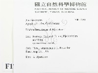 登錄號:F0017760藏品圖，第2張
