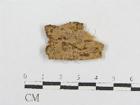登錄號:F0017760藏品圖，第1張
