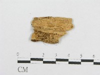 登錄號:F0017760藏品圖，第3張