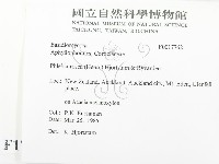 登錄號:F0017762藏品圖，第2張