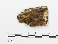 登錄號:F0017762藏品圖，第3張