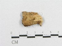 登錄號:F0017763藏品圖，第3張