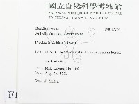 登錄號:F0017764藏品圖，第2張