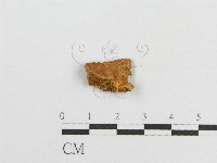 登錄號:F0017764藏品圖，第1張