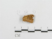 登錄號:F0017764藏品圖，第3張
