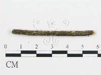 登錄號:F0017766藏品圖，第3張