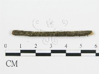 登錄號:F0017766藏品圖，第4張