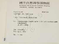 登錄號:F0017768藏品圖，第2張