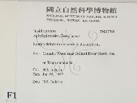 登錄號:F0017769藏品圖，第2張
