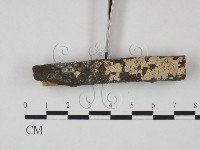 登錄號:F0017769藏品圖，第1張